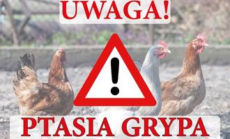 Obraz przedstawiający UWAGA PTASIA GRYPA!