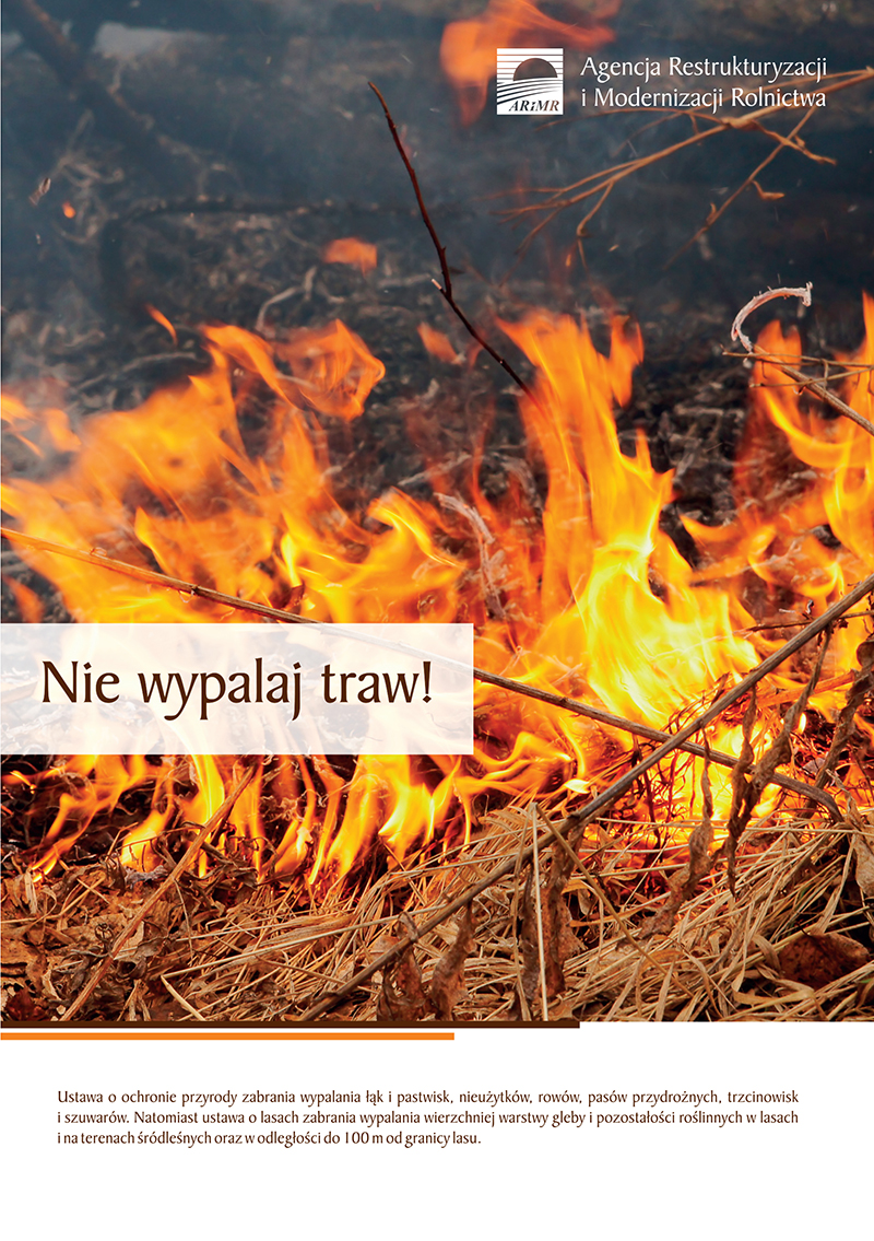 Obraz przedstawiający Nie wypalaj traw!